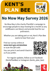 Plan Bee